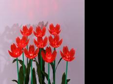 芙蓉花插地燈